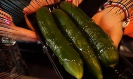 网红吃小瓜,趣味横生引网友热议